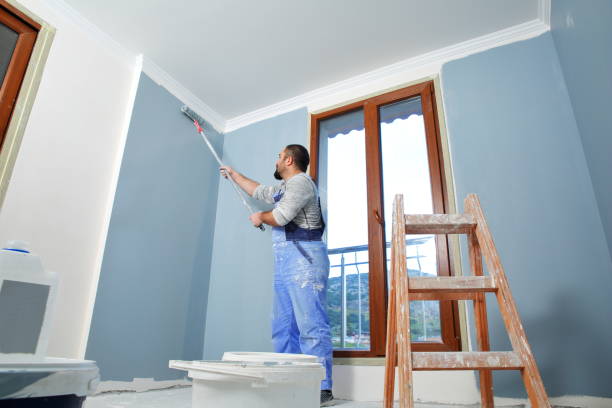 Best Water-Damaged Drywall Repair  in Mitchell, IL